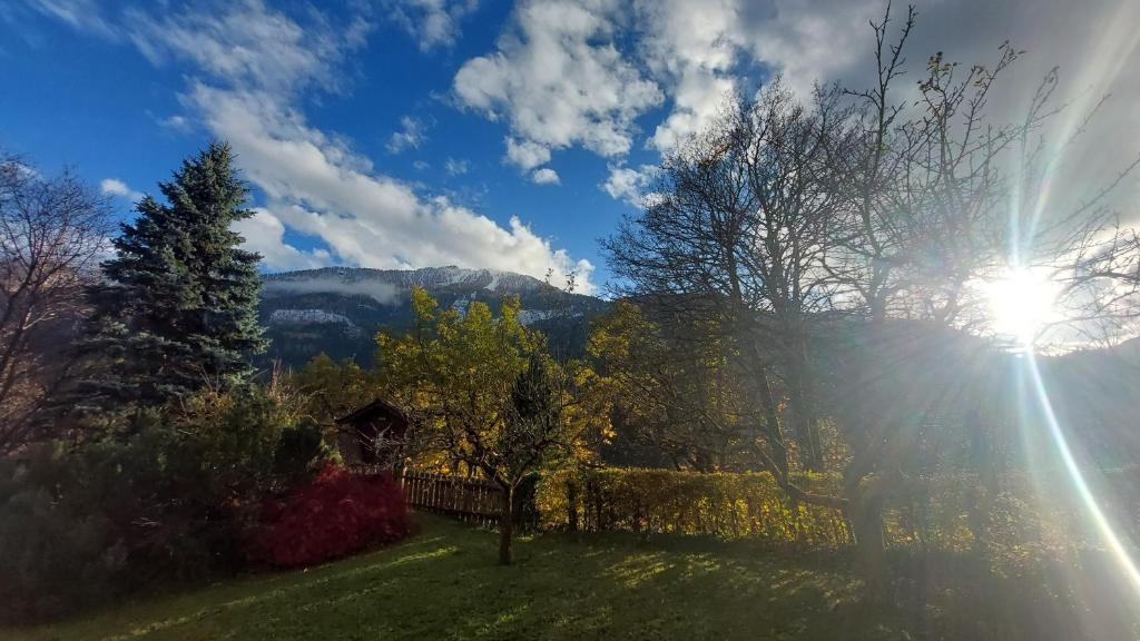 Sonnenlicht über dem Garten und den Bergen beim Sissi Apartment